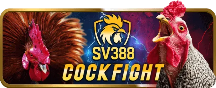 Trung tâm dữ liệu new88011 an toàn